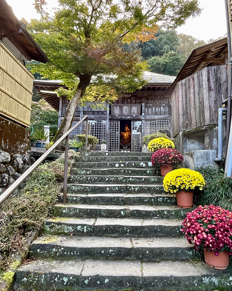 石段の上からこちらを見ている写真