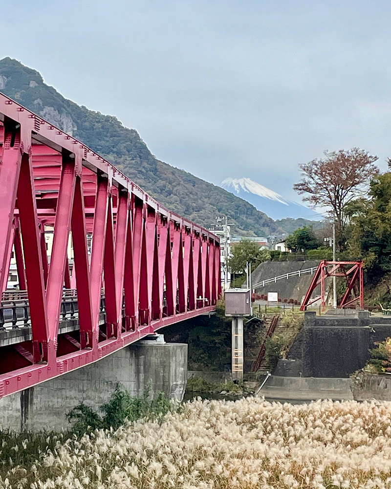 大仁橋を渡る写真