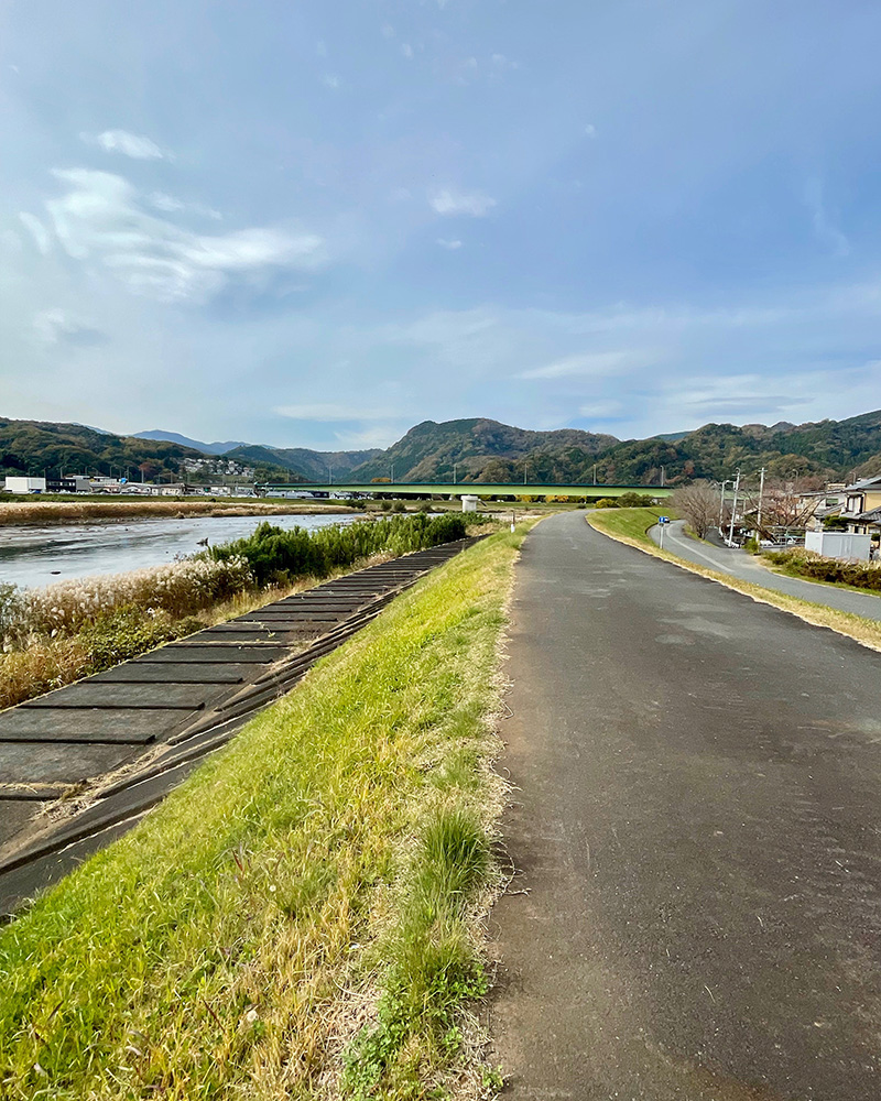 長嶋茂雄は、狩野川堤防を城山まで走った写真