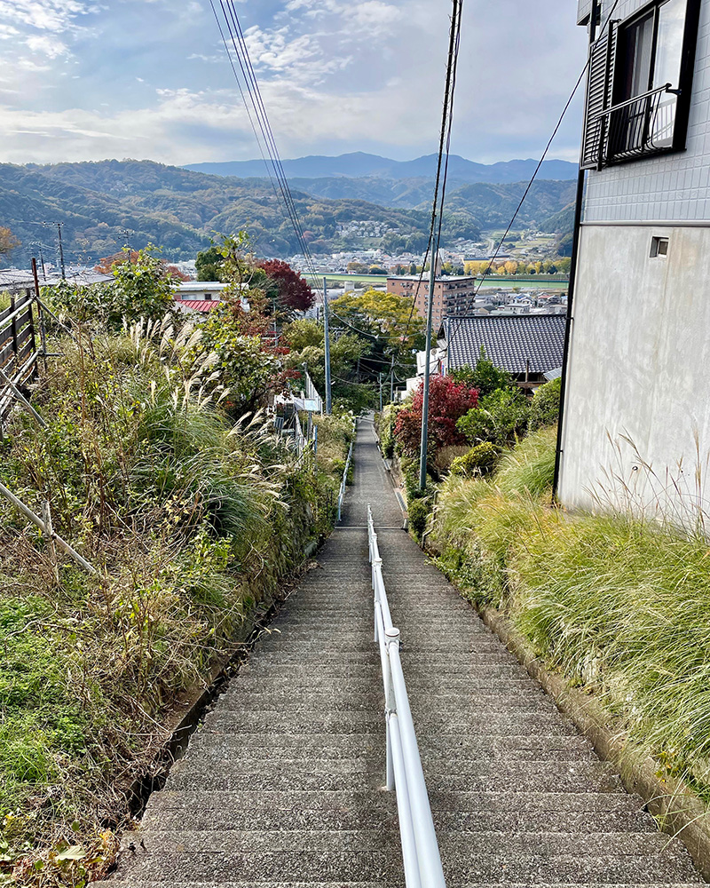 この坂道を駆け上ったのか?ひょっとしてウサギ跳びか?の写真