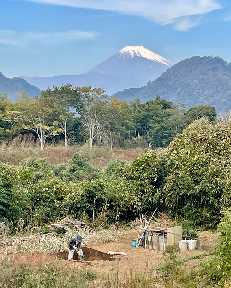堤防の下で畑作りの写真