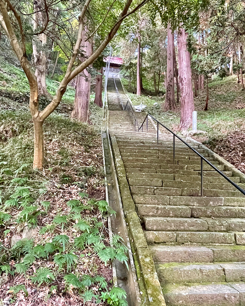 この石段はちょっと無理、体力がこの先もたないの写真
