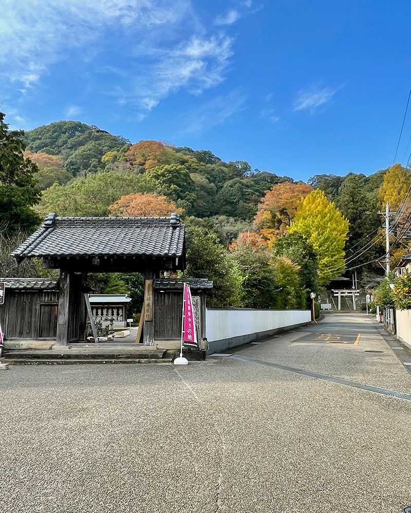 左前方が願成就院、右奥が守山八幡宮の写真
