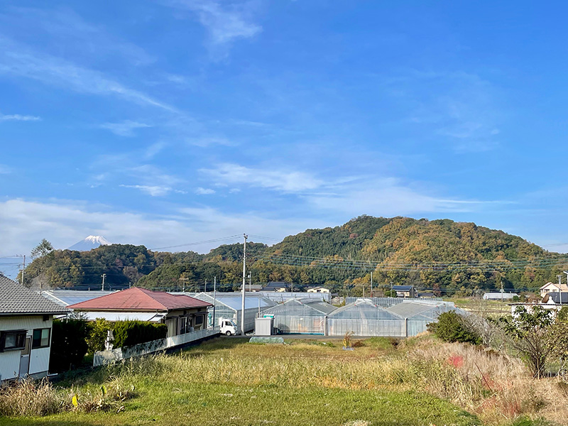 前方の山が韮山城址の写真