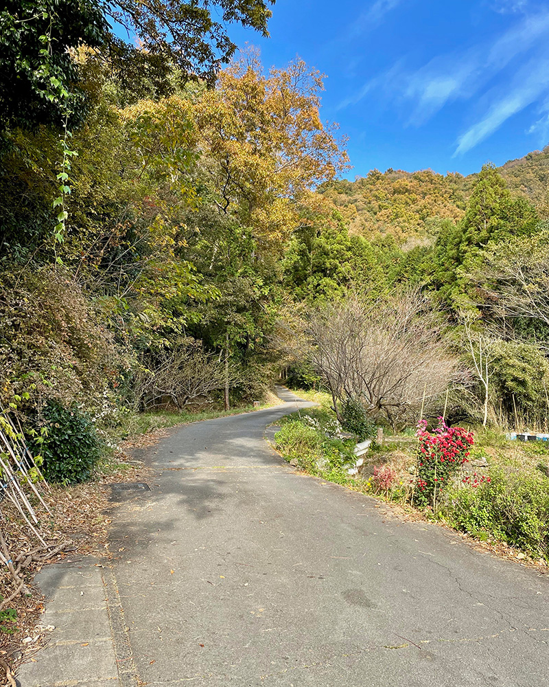 坦庵公思索の道をゆく写真