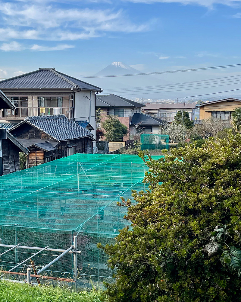 山木判官平兼隆館跡だと思われる場所のた写真