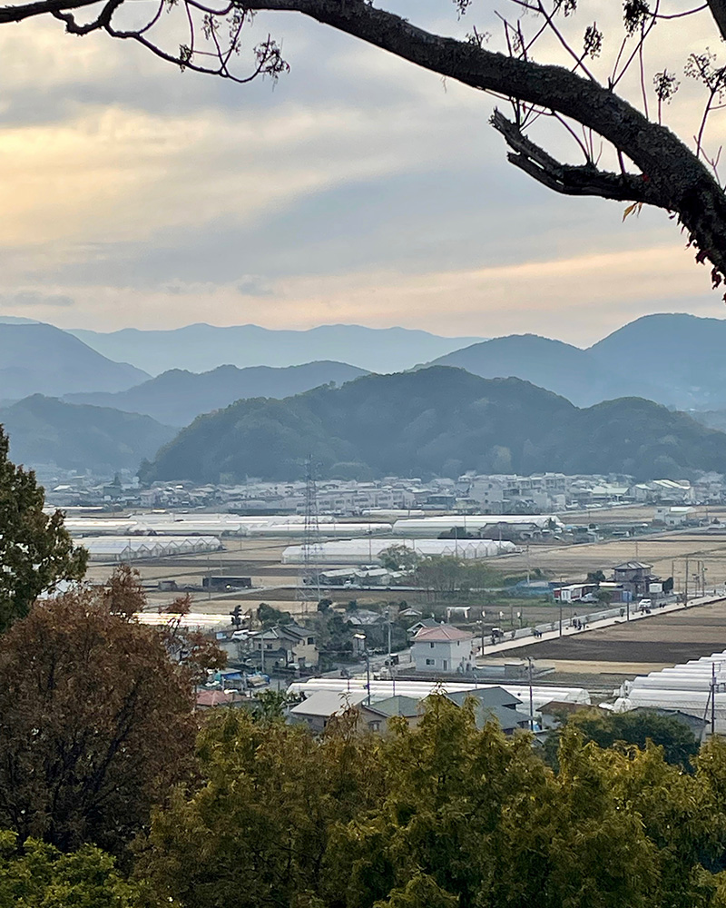 蛭ヶ小島の向こうに北条の里が見える写真