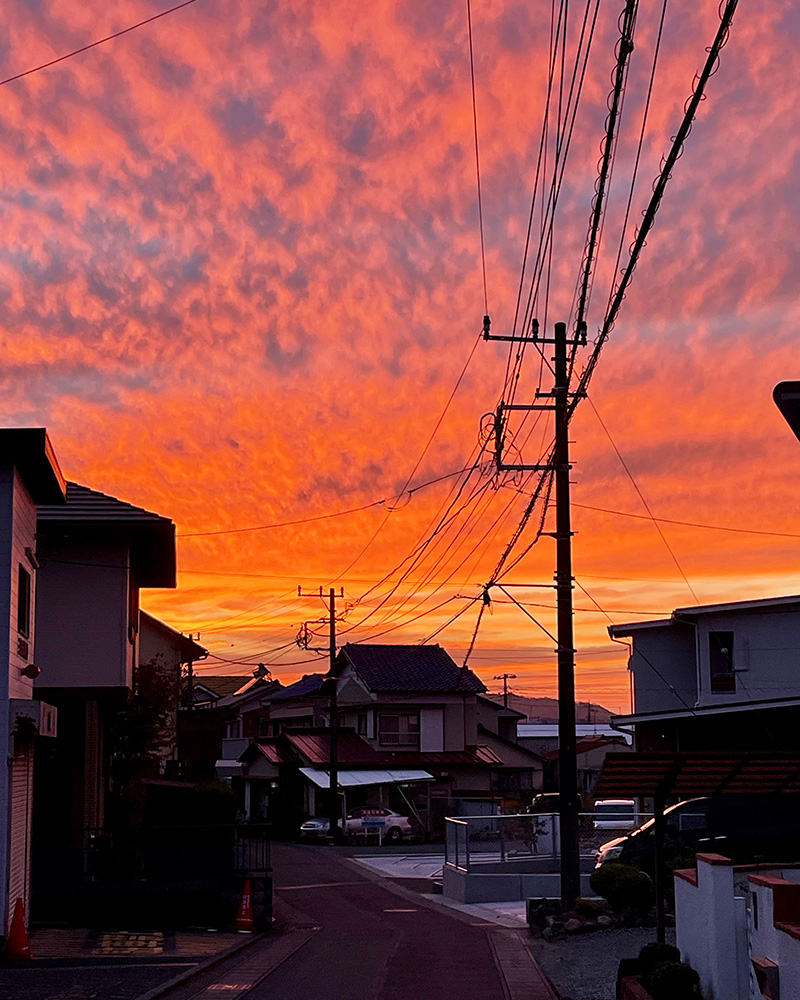 茜色とはこういう色の写真