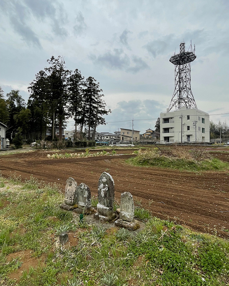 なんとなく鎌倉街道のような気がした写真