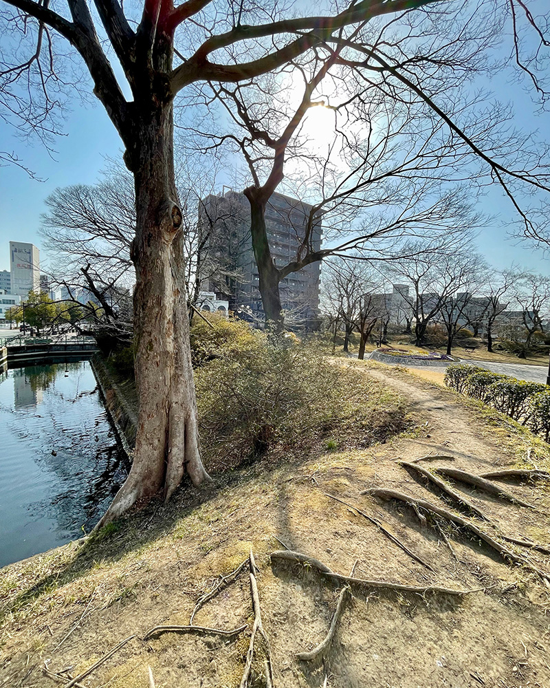 土塁の上を歩く写真