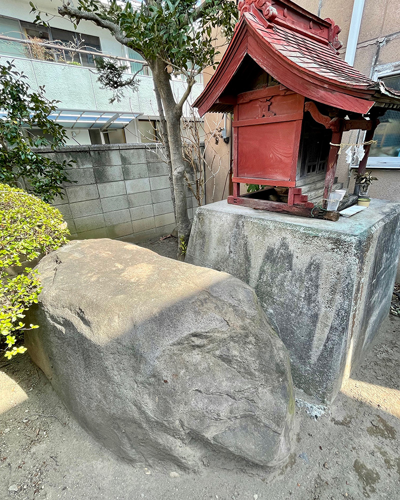 化石(ばけいし)が隠れるようにあった写真
