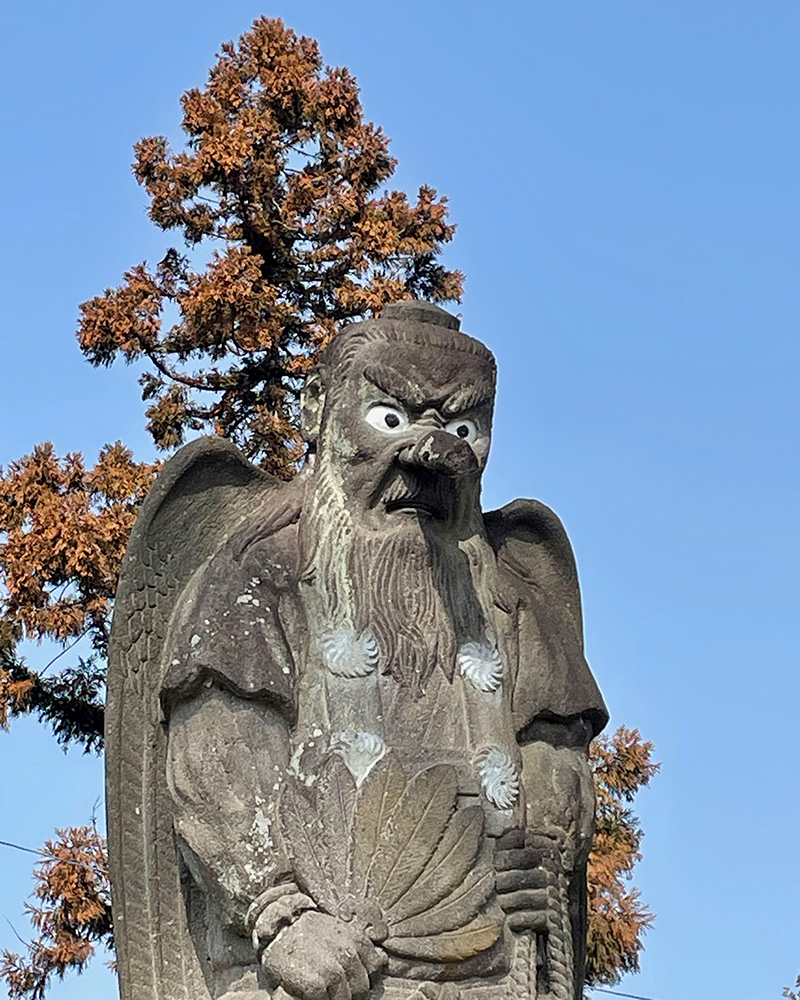 大天狗が見下ろしている写真