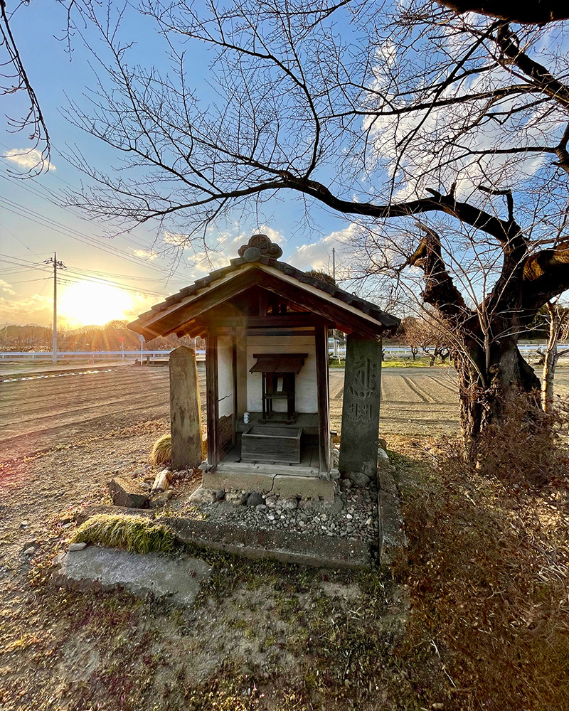 葵八幡が畑の中にあった写真