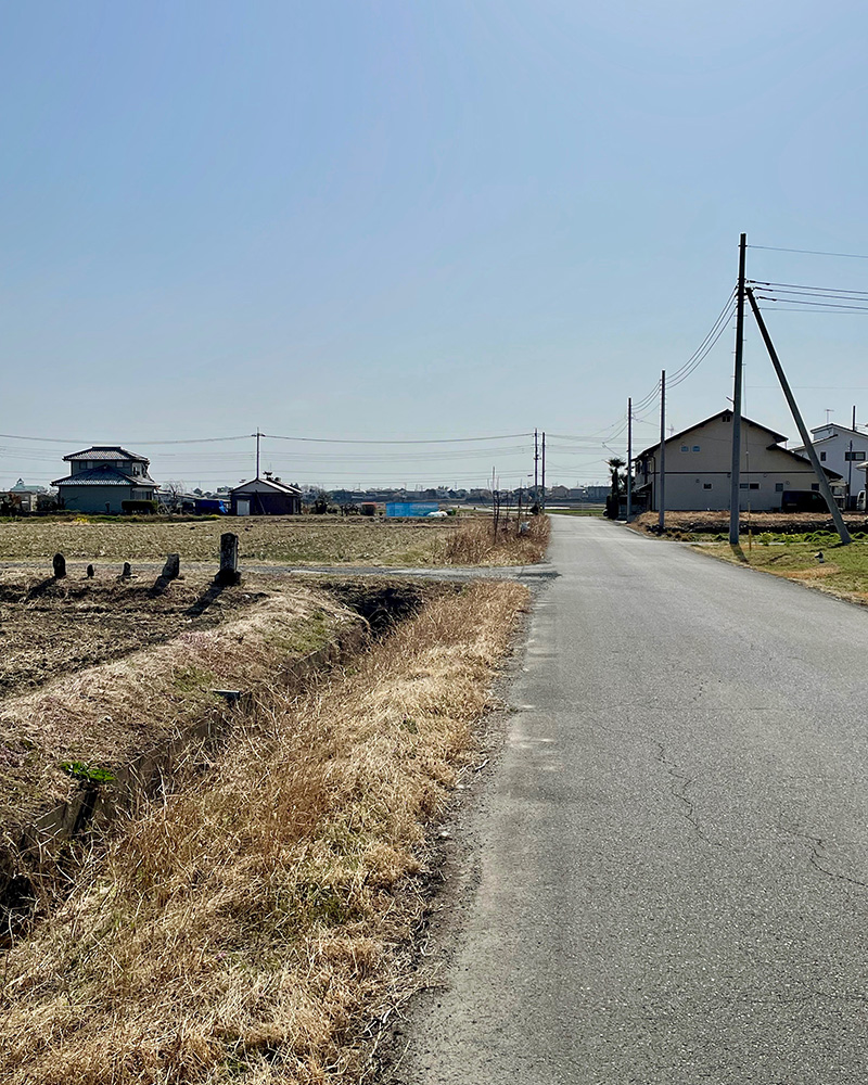この道を鎌倉街道と思うことにした写真