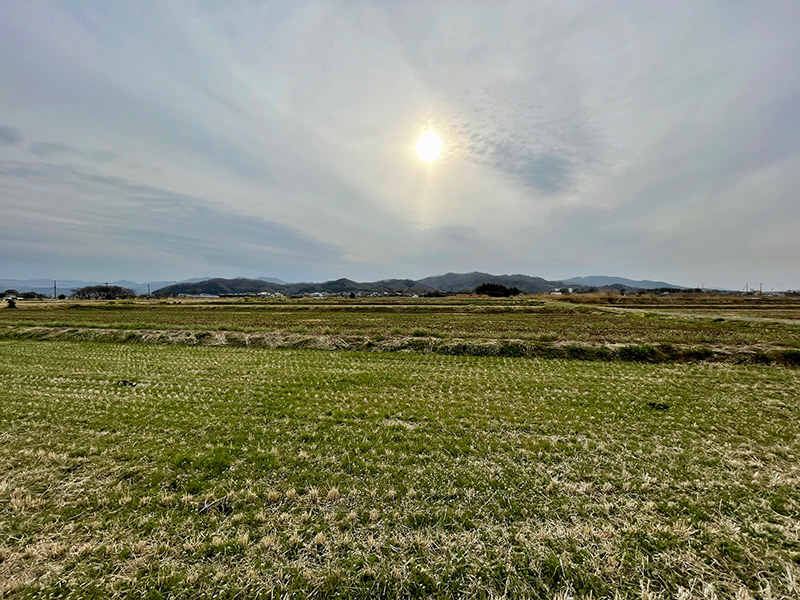 田園風景が広がる写真