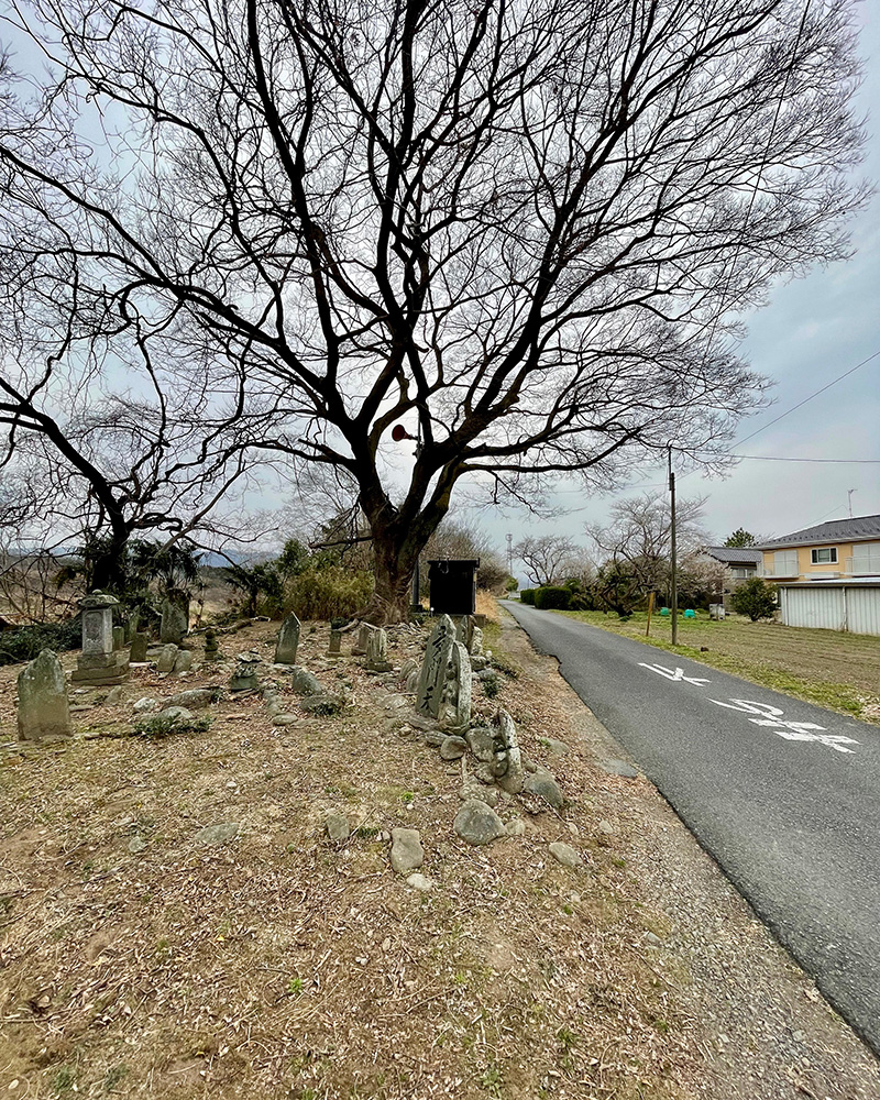 野仏たちが集められていた写真