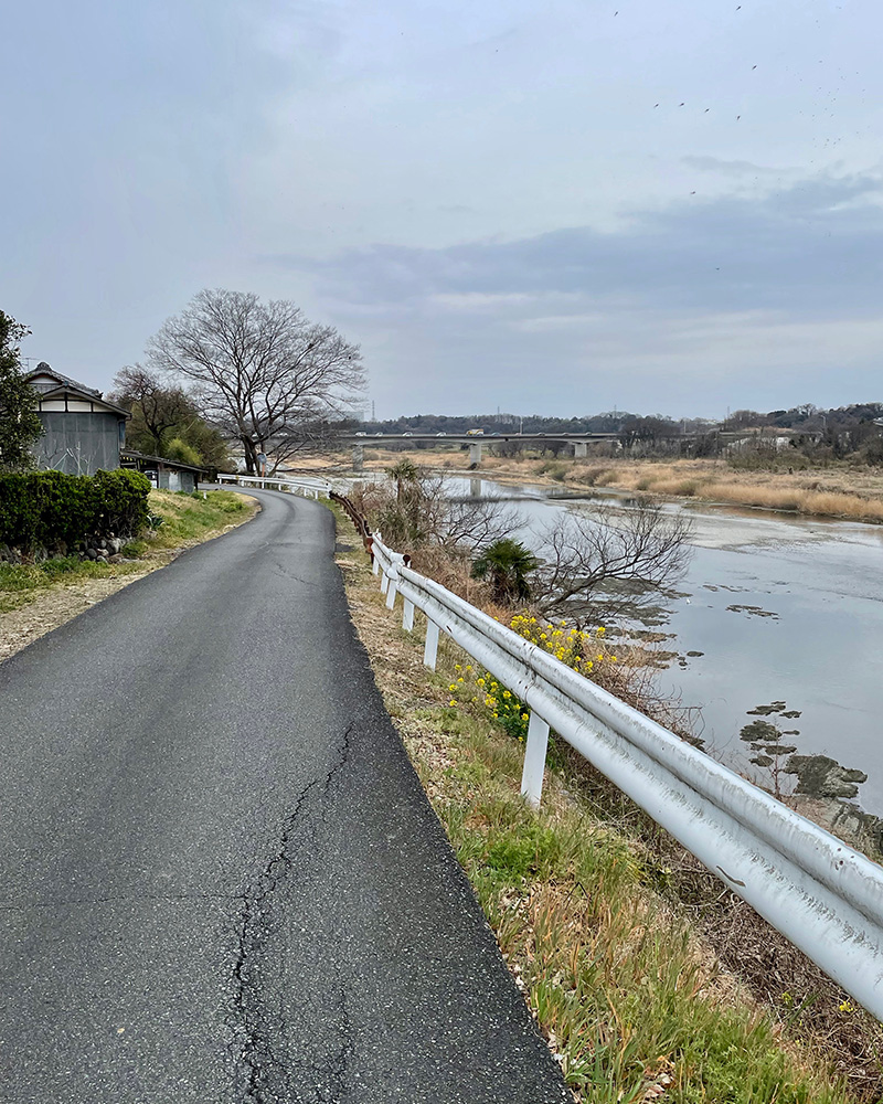 荒川沿いを進む写真