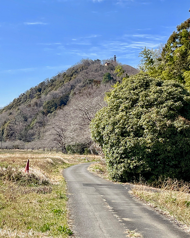 振り返ると、山頂に四ツ山神社が見えた写真