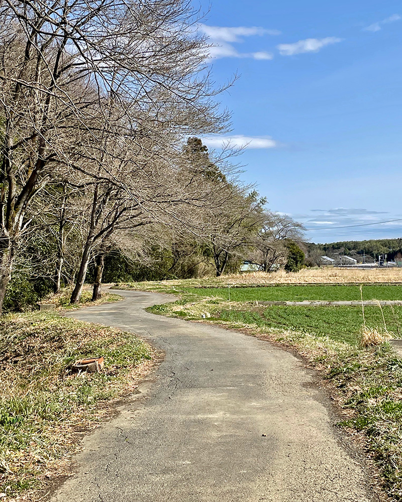美しい里山の風景の写真
