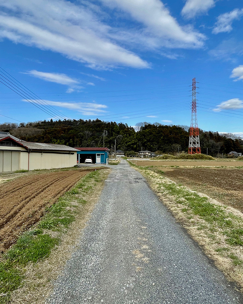 杉山城が築かれた山の写真