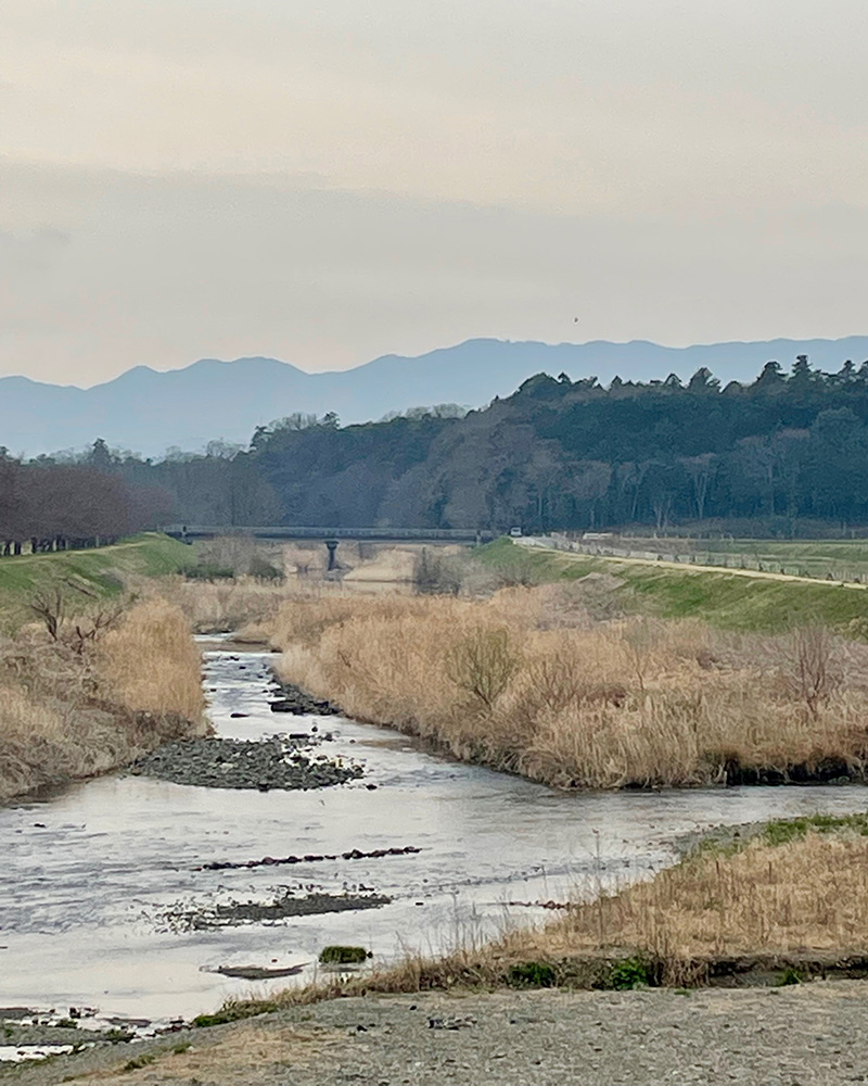 都幾川を渡る写真