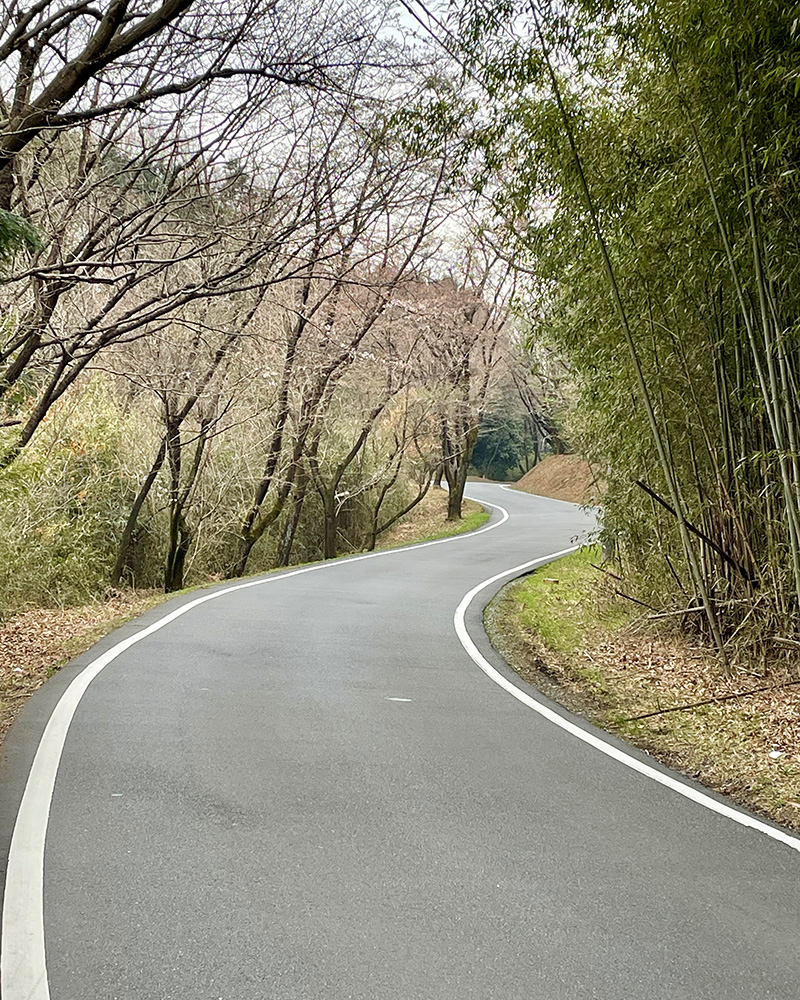 蛇行しながら続いていく写真
