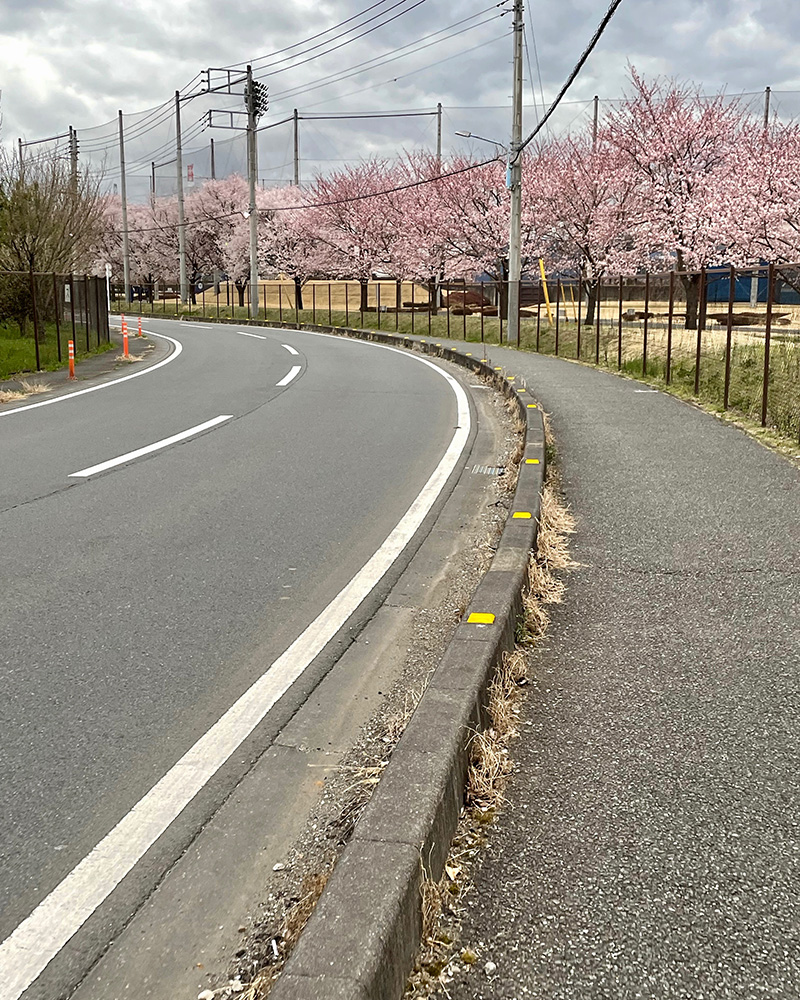 東京国際大学坂戸キャンパスの中を歩く写真