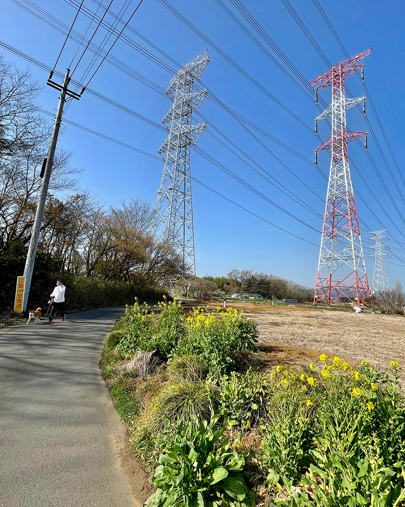 送電線の下を通る写真