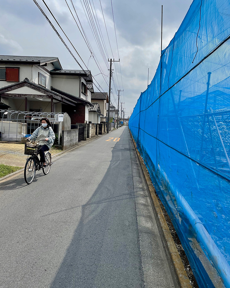 青いネットの向こうはブドウ園の写真