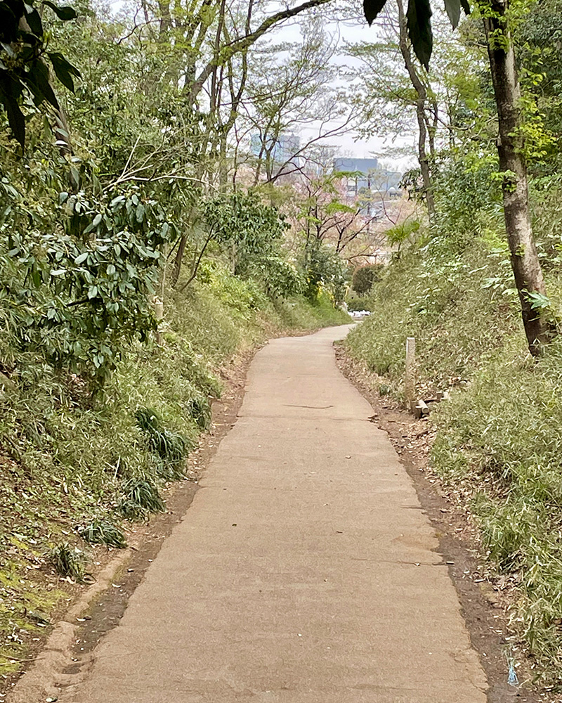 ワクワクしながら切り通しを歩く写真