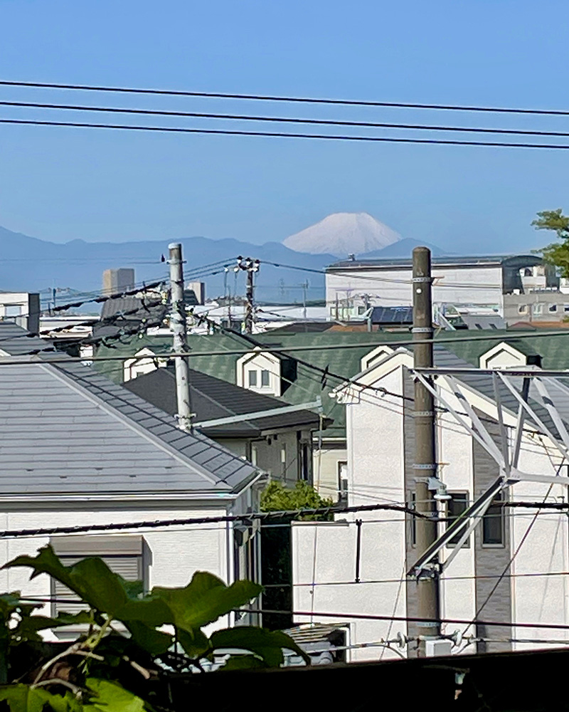 富士山が見えた!写真