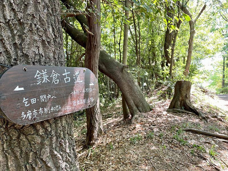 道しるべ発見!歴史古街道団さん、ありがとう!の写真