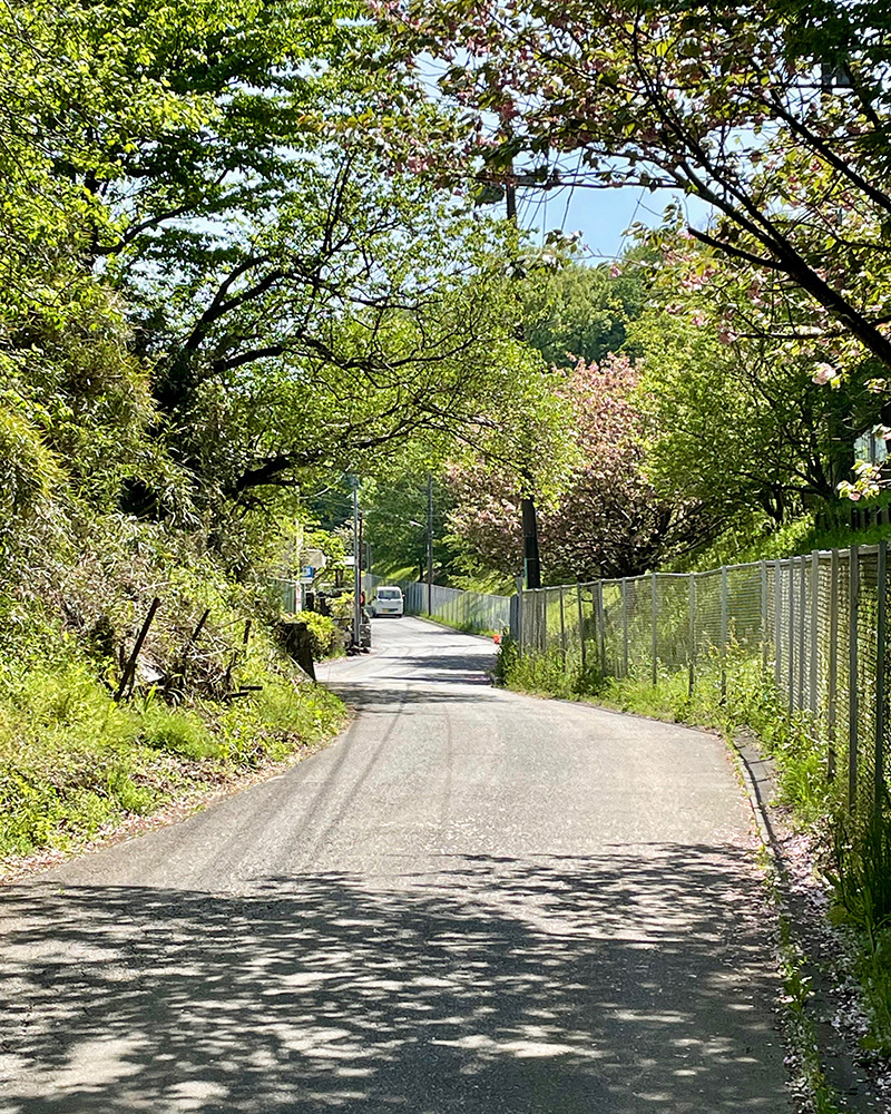 恵泉女学園大学の左の道を入っていく写真