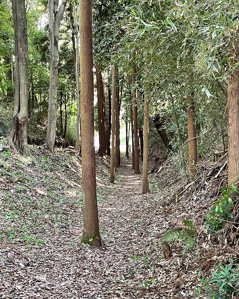 鎌倉古道の遺構の写真
