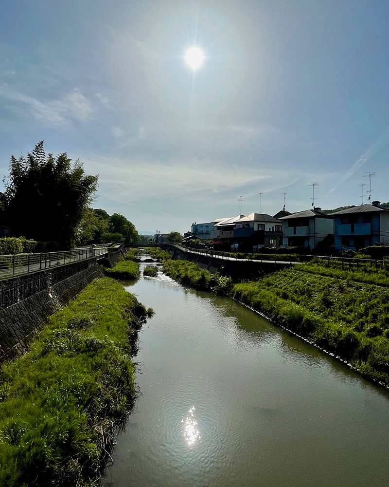 鶴見川を渡る写真