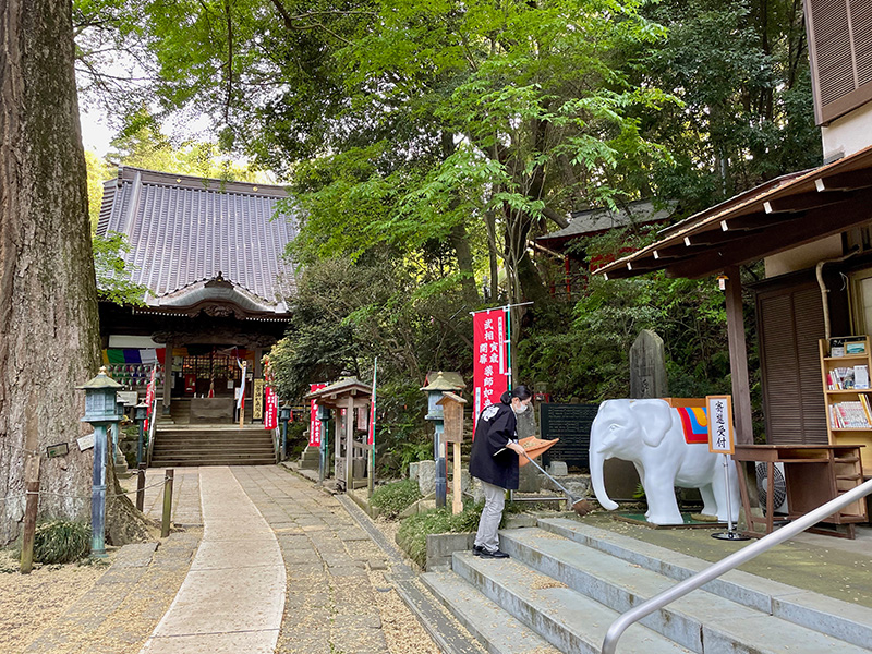 福王寺薬師堂着いた写真