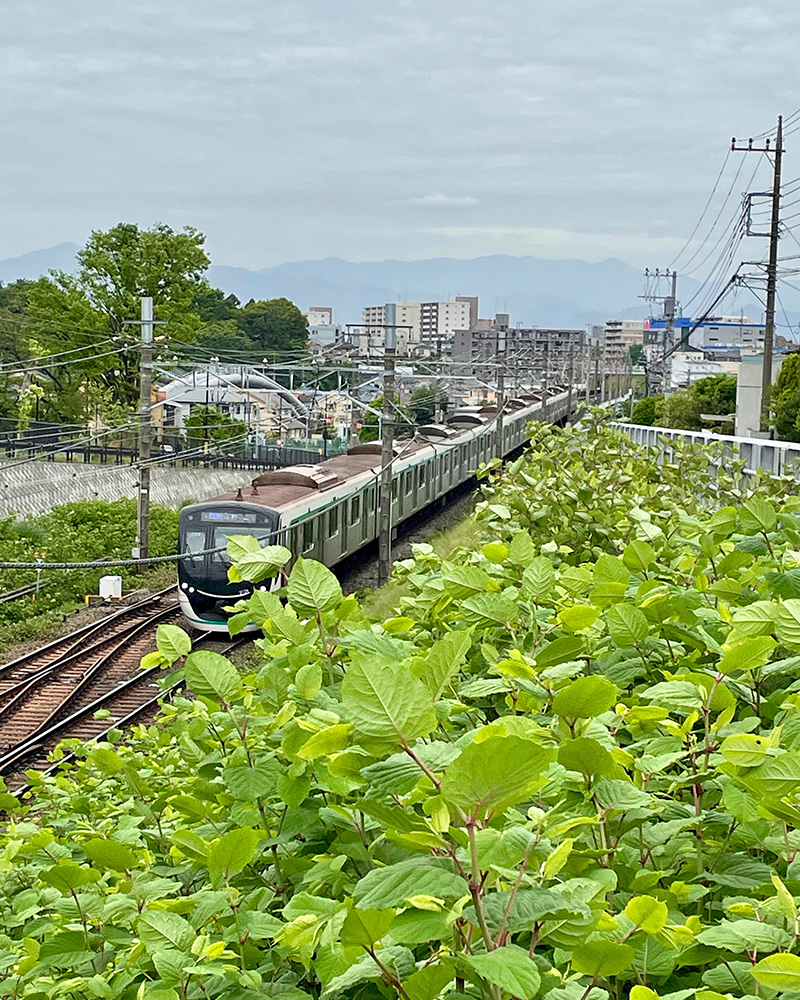 東急田園都市線が下を走る写真
