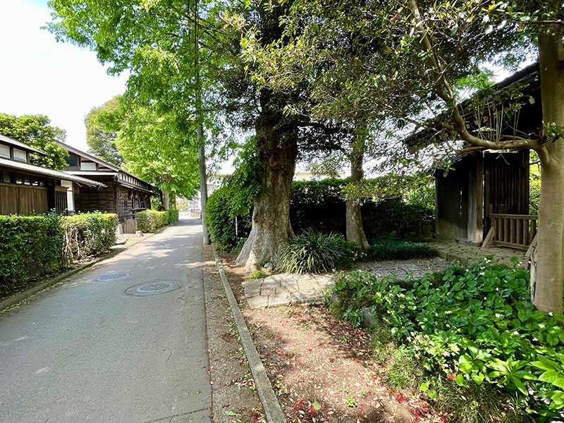 古い屋敷が街道沿いに続いていた写真
