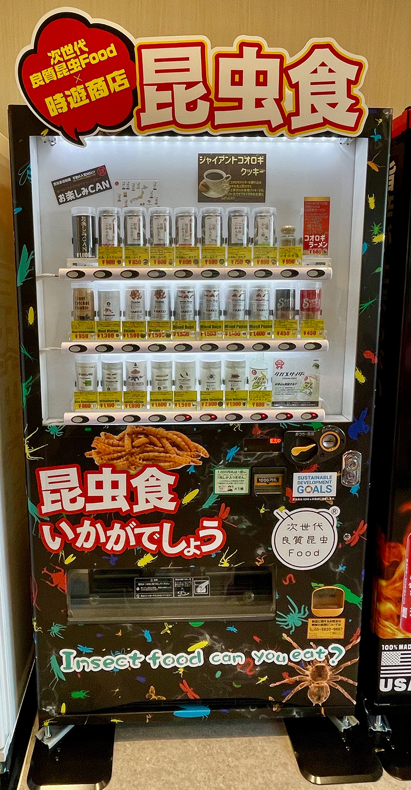 昆虫食いかがでしょう?の写真