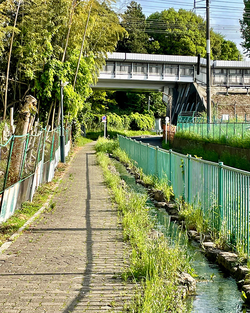 東海道新幹線の高架をくぐる写真