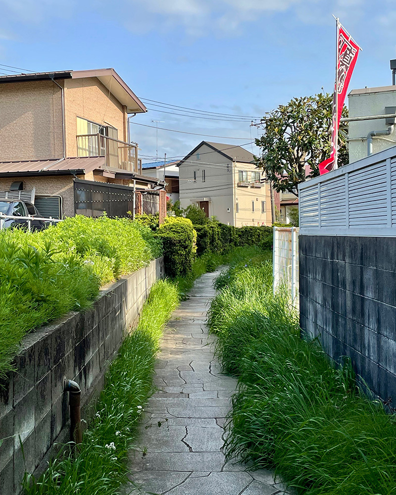 石畳風の緑道が良い雰囲気の写真