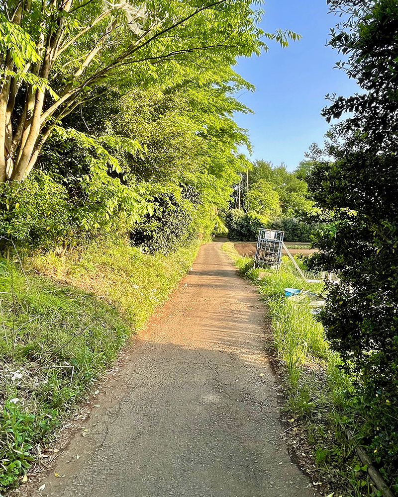 田園風景の中を通る写真