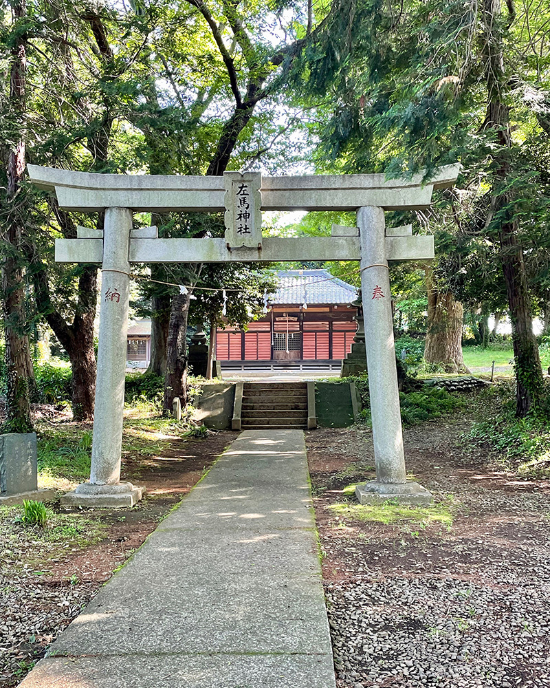 左馬神社に参拝する写真