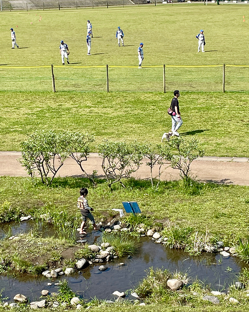 にぎやかな境川遊水地公園の写真