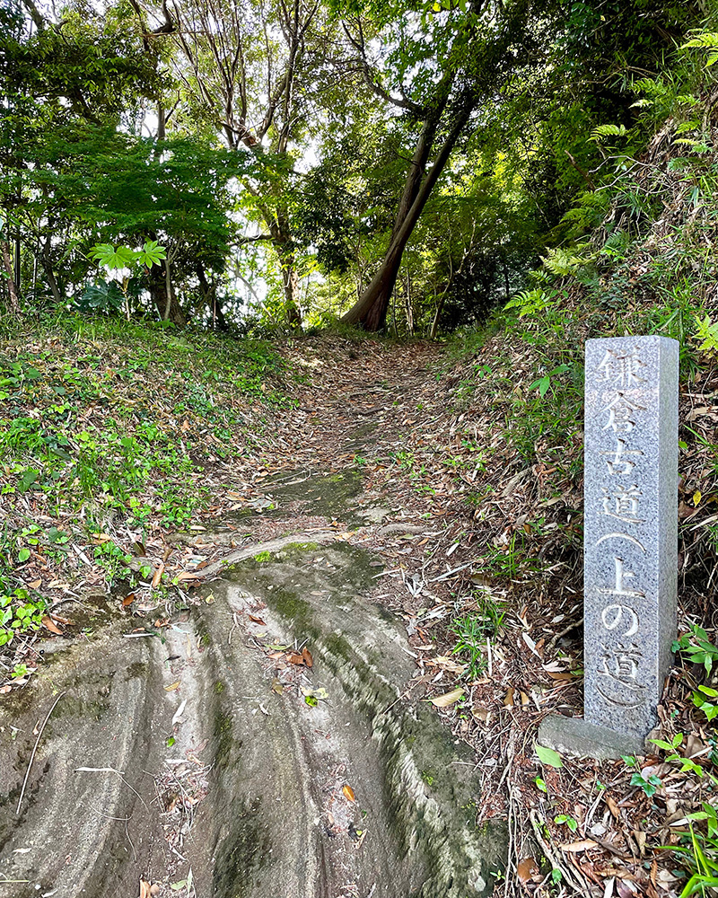 鎌倉古道が現れた写真