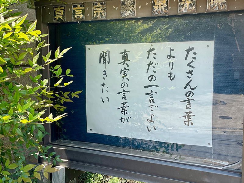 本当にそう思う写真