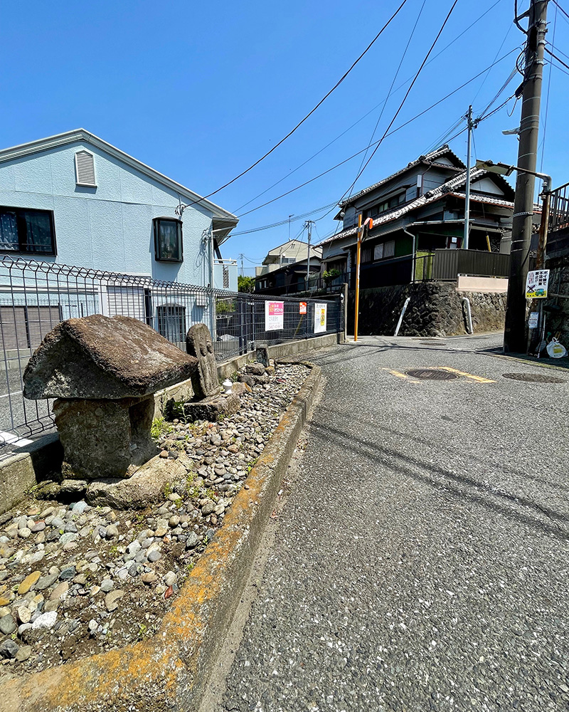丘を登っていく写真