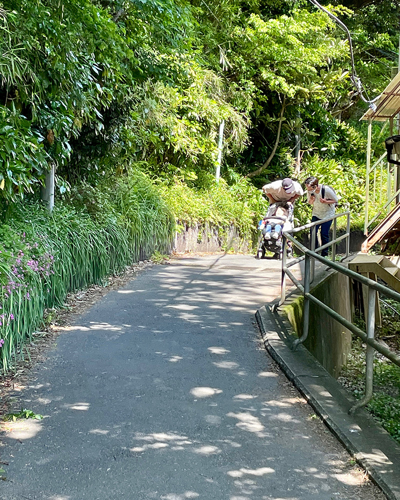 子どものキャッキャ言う声が聞こえる写真