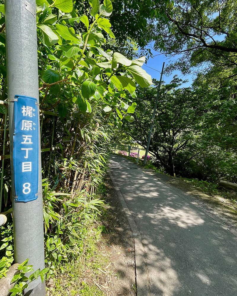 梶原景時の本拠地、鎌倉のすぐ近くということは、それだけ信頼されていたということかの写真
