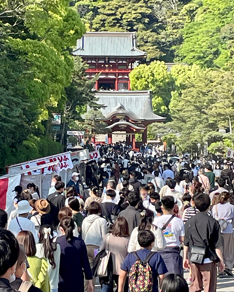 鶴岡八幡宮は、人、ひと、ヒトの写真